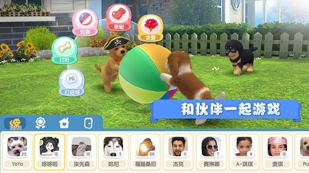 梦幻小狗图3