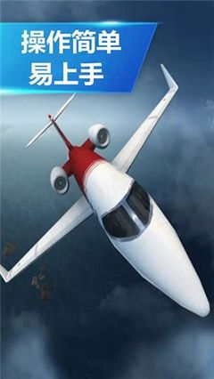 空袭霸业图2