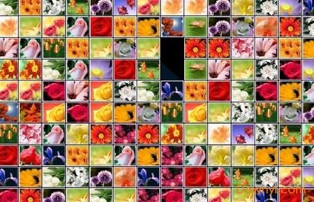 花花连连看游戏图2